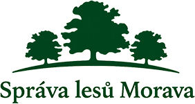 Palivové dřevo Brno